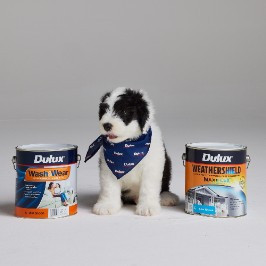 Dulux Group